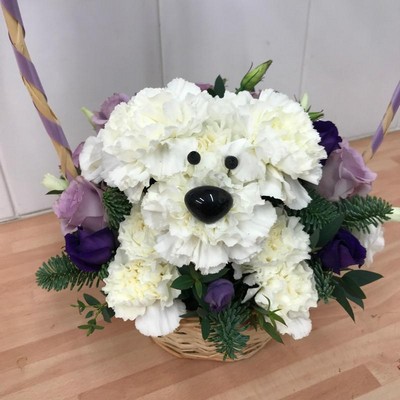 Dog, basket, flowers, gift, bouquet, arrangement, birthday, mother’s day, thank you, Gravesend, Florist, delivery