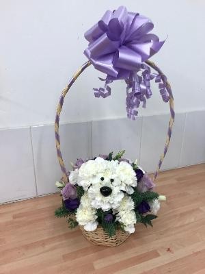 Dog, basket, flowers, gift, bouquet, arrangement, birthday, mother’s day, thank you, Gravesend, Florist, delivery