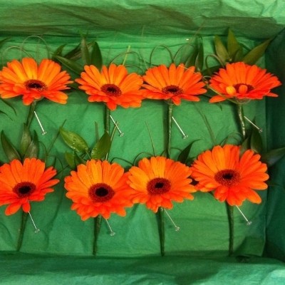 Gerbera, buttonhole, button, hole, bulk, large, quantity, Asian, Indian, Sikh, wedding, flowers, florist, gravesend, Northfleet, Kent, London, Essex 