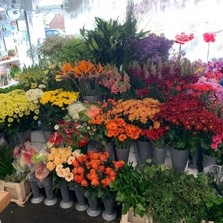Florist choice funeral flowers